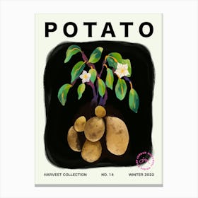 Potato Vegetable Kitchen Typography Canvas Print