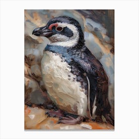 African Penguin Dunedin Taiaroa Head Oil Painting 4 Canvas Print