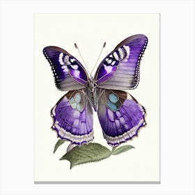 Purple Emperor Butterfly Vintage Pastel 1 Canvas Print