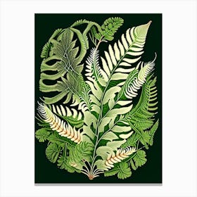 Bracken Fern Wildflower Vintage Botanical 2 Canvas Print