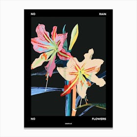 No Rain No Flowers Poster Amaryllis 5 Canvas Print