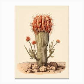 Vintage Cactus Illustration Barrel Cactus 2 Canvas Print