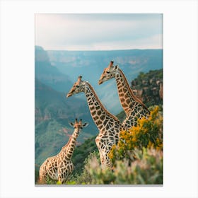 Giraffes In The Mountains Canvas Print