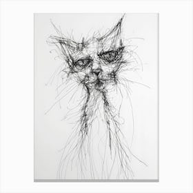 Morning Cat Canvas Print