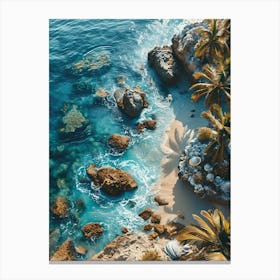 Aerial View Of A Tropical Beach 1 Canvas Print
