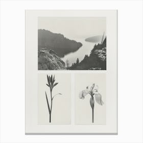 Iris Flower Photo Collage 4 Canvas Print