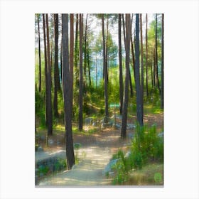 Path Through The Forest 202308181751276rt1pubpub Canvas Print