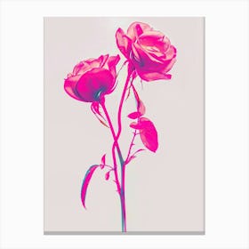 Hot Pink Rose 2 Canvas Print