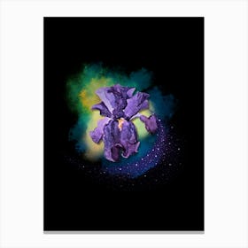 Purple Iris Canvas Print