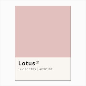 Lotus Canvas Print