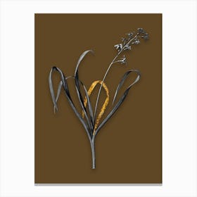 Vintage Dutch Hyacinth Black and White Gold Leaf Floral Art on Coffee Brown n.0720 Canvas Print