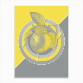 Vintage Snow Calville Apple Botanical Geometric Art in Yellow and Gray n.081 Canvas Print