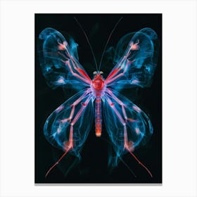 Iridescence Canvas Print