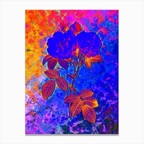 Italian Damask Rose Botanical in Acid Neon Pink Green and Blue n.0160 Canvas Print