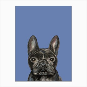 Blue Black French Bulldog Watercolour Illustration Canvas Print