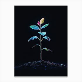 Plant Grows In The Dark 1 Canvas Print