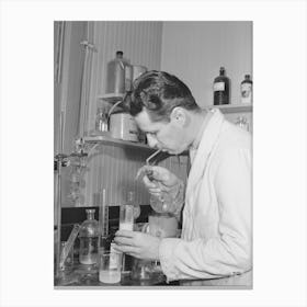 Salinas, California, Intercontinental Rubber Producers, Harry Baucher, Head Chemist, Works In The Company Canvas Print