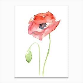 Watercolor Poppy 1 Canvas Print