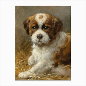 Vintage Brown And White Puppy Canvas Print