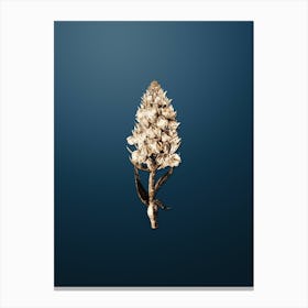 Gold Botanical Leafy Spiked Orchis Flower on Dusk Blue n.4547 Canvas Print