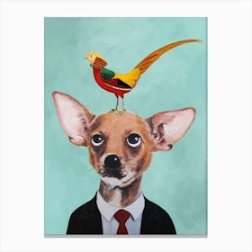 Chihuahua With Bird Canvas Print