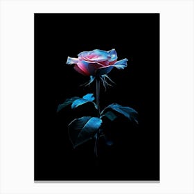 Rose In The Dark 6 Canvas Print