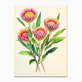 Proteas Vintage Flowers Flower Canvas Print
