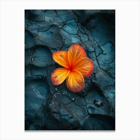 Lava Flower Canvas Print