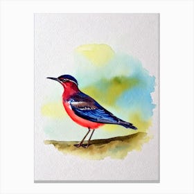 Dipper Watercolour Bird Canvas Print