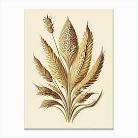 Wheat Leaf Vintage Botanical Canvas Print