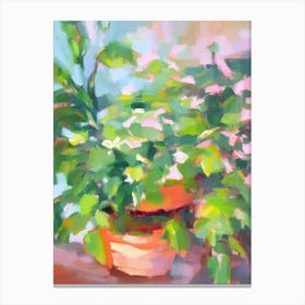 Chinese Evergreen Impressionist Painting Plant Canvas Print