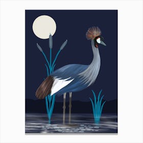Japanese Crested Crane In The Moonlight Canvas Print