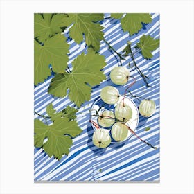 Gooseberries Fruit Summer Illustration 4 Canvas Print