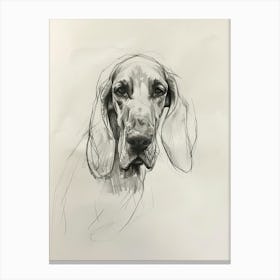 Bloodhound Dog Charcoal Line 1 Canvas Print