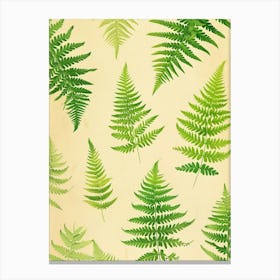 Pattern Poster Lady Fern 1 Canvas Print