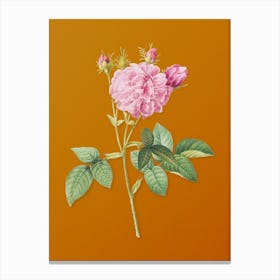 Vintage Pink Agatha Rose Botanical on Sunset Orange n.0323 Canvas Print