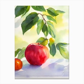 Star Apple Italian Watercolour fruit Canvas Print