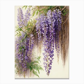 Wisteria Canvas Print