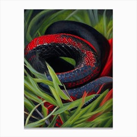 Red Bellied Black Snake Painting Canvas Print