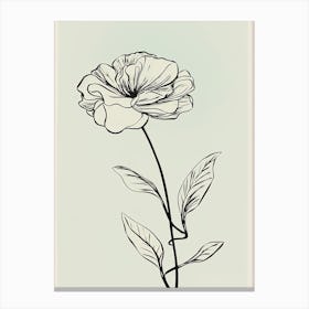 Line Art Marigold Flowers Illustration Neutral 11 Canvas Print