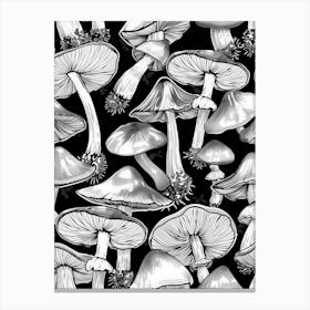 Mushrooms On A Black Background Canvas Print