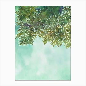 Acropora Suharsonoi V Storybook Watercolour Canvas Print