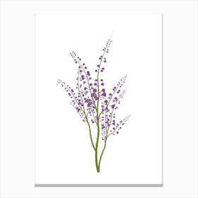 Lily Of The Valley Canvas Print