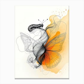 Metamorphosis Of Butterfly Canvas Print