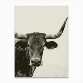 Longhorn Canvas Print 2 Canvas Print