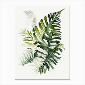 Crested Wood Fern  3watercolour Canvas Print