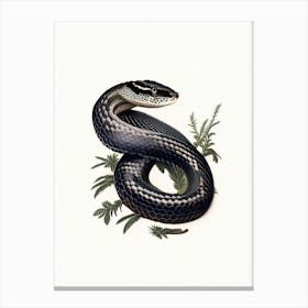 Black Pine Snake 1 Vintage Canvas Print