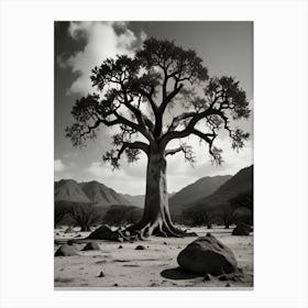 Baobab Tree 2 Canvas Print