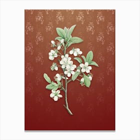 Vintage White Plum Flower Botanical on Falu Red Pattern n.0551 Canvas Print
