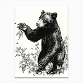 Malayan Sun Bear Standing And Reaching For Berries Ink Illustration 3 Canvas Print